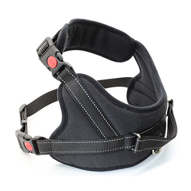 Pet collars