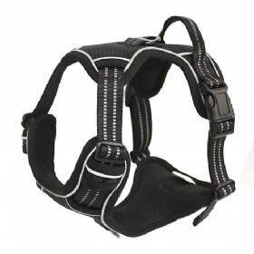 Multicolor Strong Waterproof Polyester Material Training Big Breed D